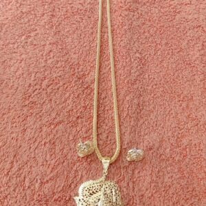 imitation jewellery with ear rings